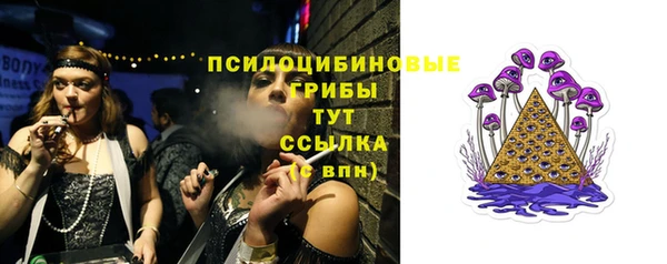 мяу мяу мука Ладушкин
