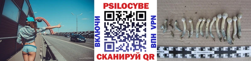 Псилоцибиновые грибы мицелий  Купить  Малая Вишера 
